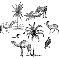Papier Peint Lithographie Camelun