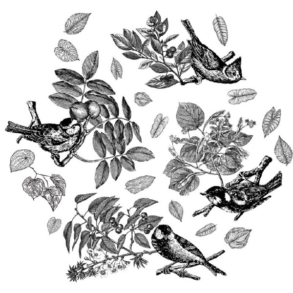 Papier Peint Lithographie Hirundo — Ambiance 2