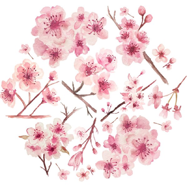 Papier Peint Aquarelle Ceflores — Ambiance 2