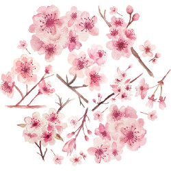 Papier Peint Aquarelle Ceflores