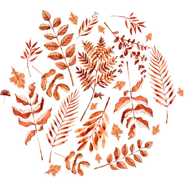 Papier Peint Aquarelle Autumnale — Ambiance 2