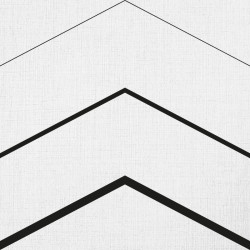 Papier Peint Triangulus