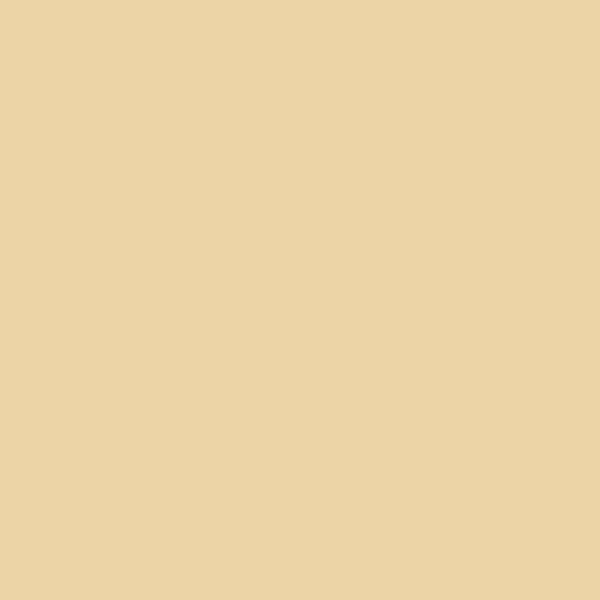 Papier Peint Uni Beige — Ambiance 2
