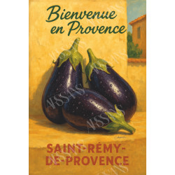 Aubergines de Provence – Trésor du Soleil