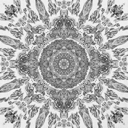 Papier Peint Elegans Mandala