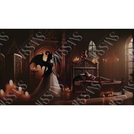 Dans l’Ombre du Succube - affiche & plaque vintage | Manufacture Arssans