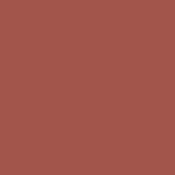 Papier Peint Uni Terracotta — Ambiance 1