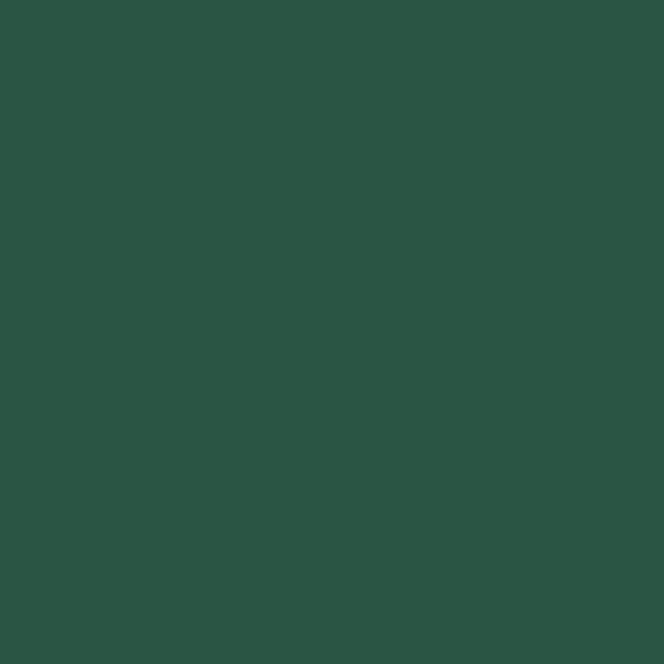Papier Peint Uni Vert Sapin — Ambiance 1