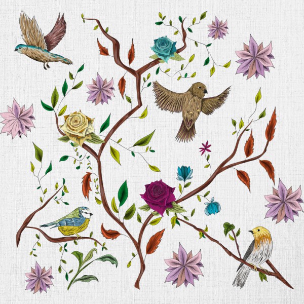 Papier Peint Oiseaux — Ambiance 3