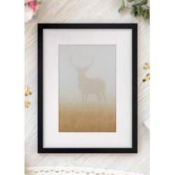 Cadre Noir 60x90 cm avec Passe-partout 40x70 cm