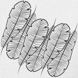 Papier Peint Folium Volu