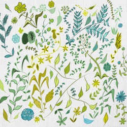 Papier Peint Floridus