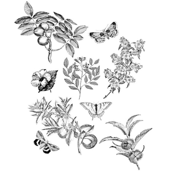 Papier Peint Lithographie Papilionem — Ambiance 2