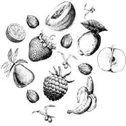 Papier Peint Lithographie Fructus
