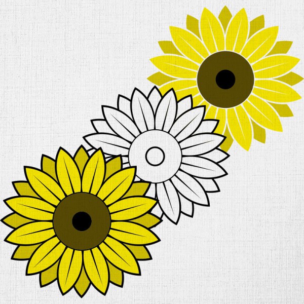Papier Peint Helianthus — Ambiance 2