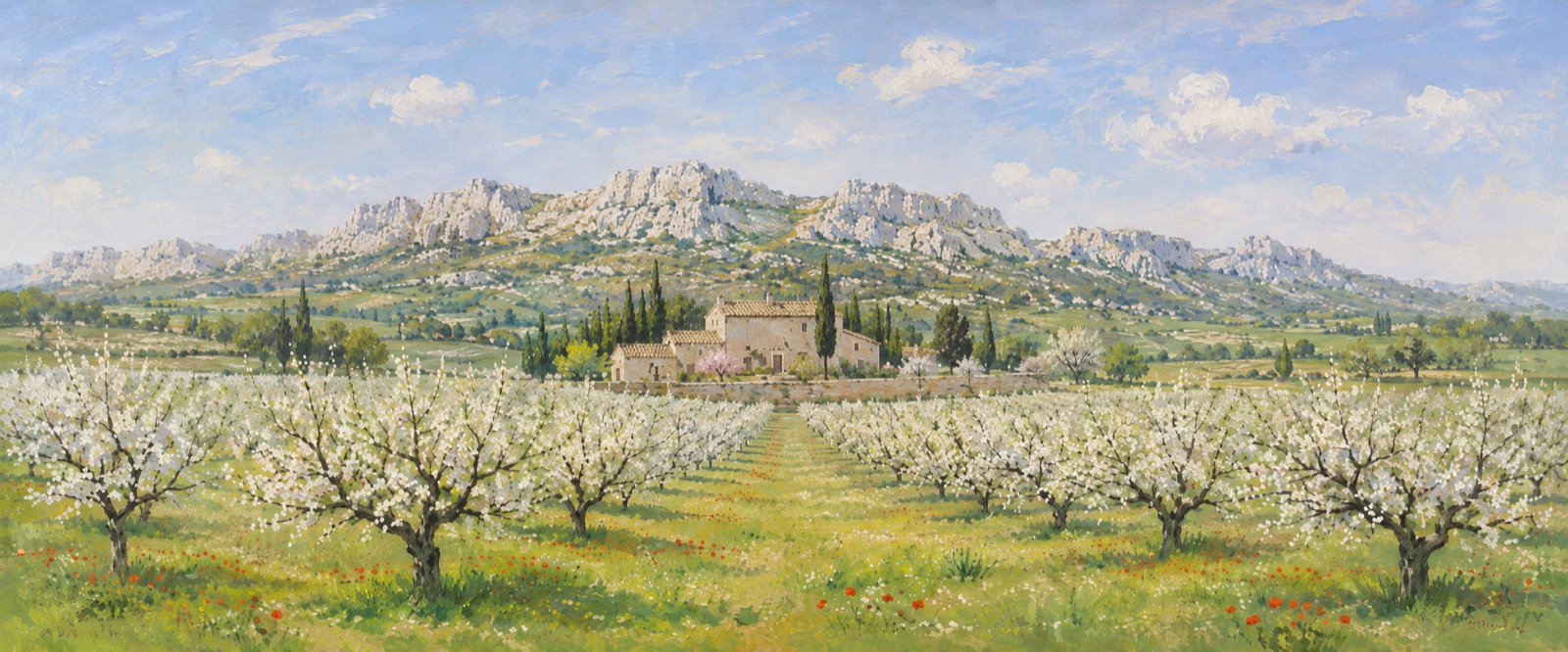 Cerisiers en fleurs