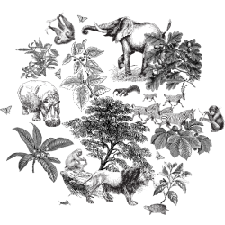 Papier Peint Lithographie Savanna