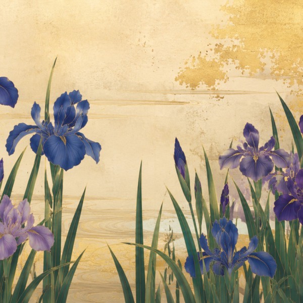 Iris au bord de l'eau - fresque panoramique botanique : massif d'iris mauves et bleus en aplats verticaux, eau suggérée par le v