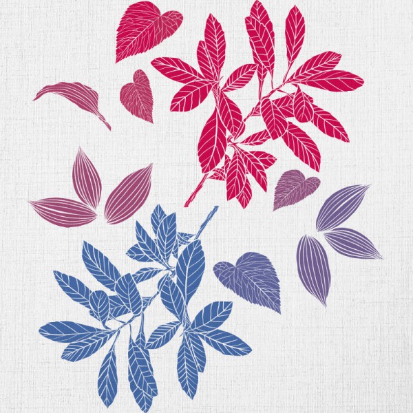 Papier Peint Coloratus — Ambiance 2