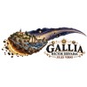 Mug Jules Verne - Gallia, décor à plat