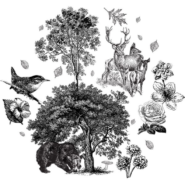 Papier Peint Lithographie Cervus — Ambiance 2