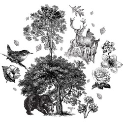 Papier Peint Lithographie Cervus
