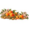 Mug gourmand - Abricots et amandes, décor à plat