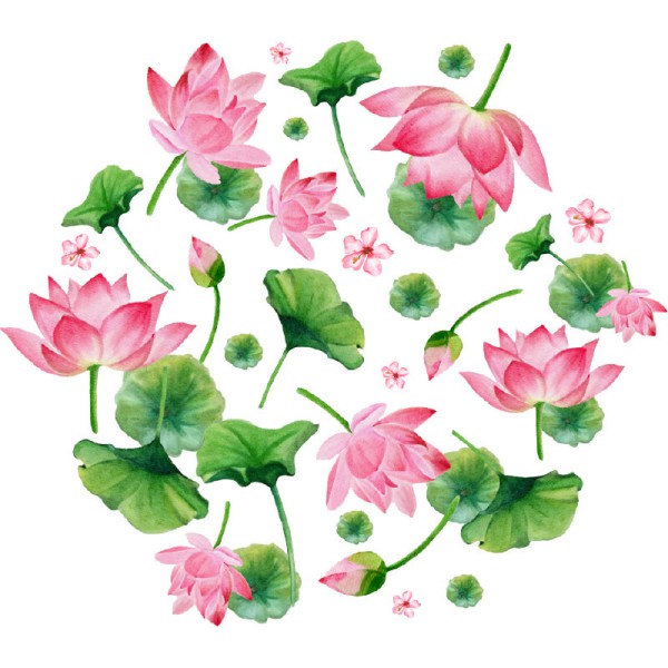 Papier Peint Aquarelle Nenufar — Ambiance 2