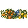 Mug botanique - Jardin d’agrumes, décor à plat