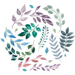 Papier Peint Aquarelle Euibis