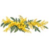 Mug fleurs - Mimosa en fleurs, décor à plat