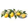 Mug gourmand - Citrons et fleurs de citronnier, décor à plat