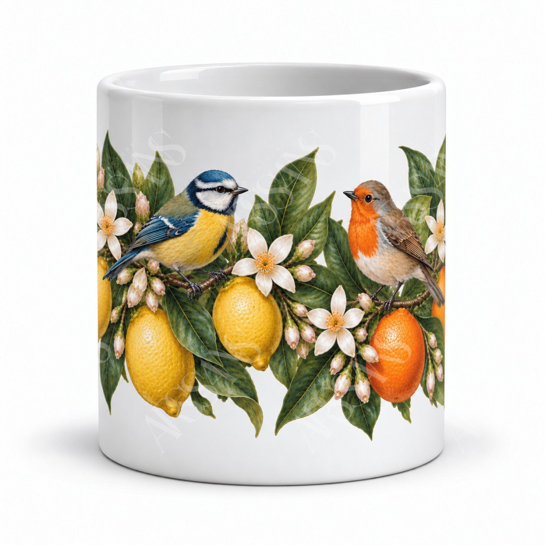 Mug nature - Oiseaux et agrumes, vue de face