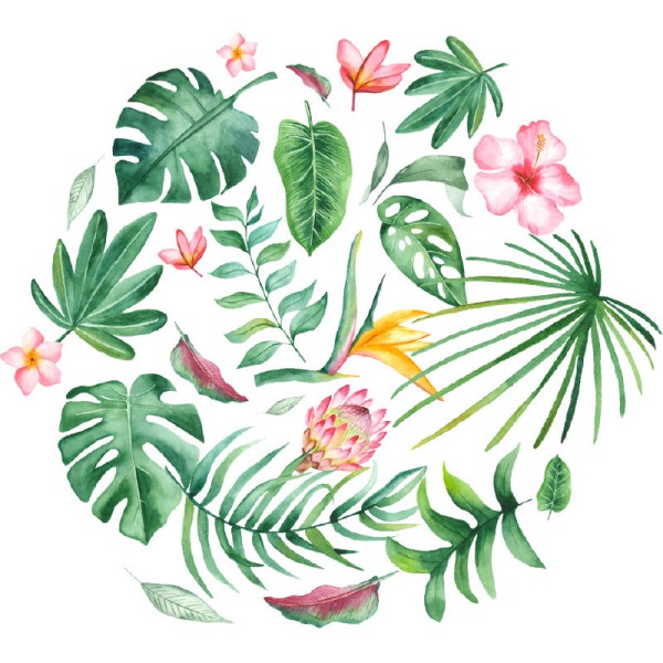 Papier Peint Aquarelle Tropicus — Ambiance 2