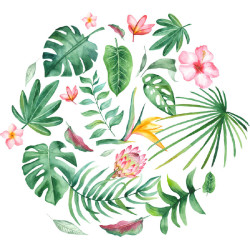 Papier Peint Aquarelle Tropicus