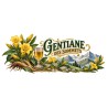 Mug apéritif - Gentiane des Sommets, décor à plat