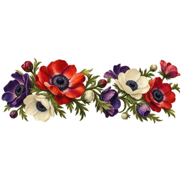 Mug fleurs - Anémones du printemps, décor à plat