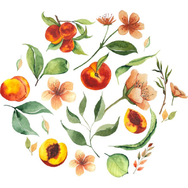 Papier Peint Aquarelle Peccatum — Ambiance 2