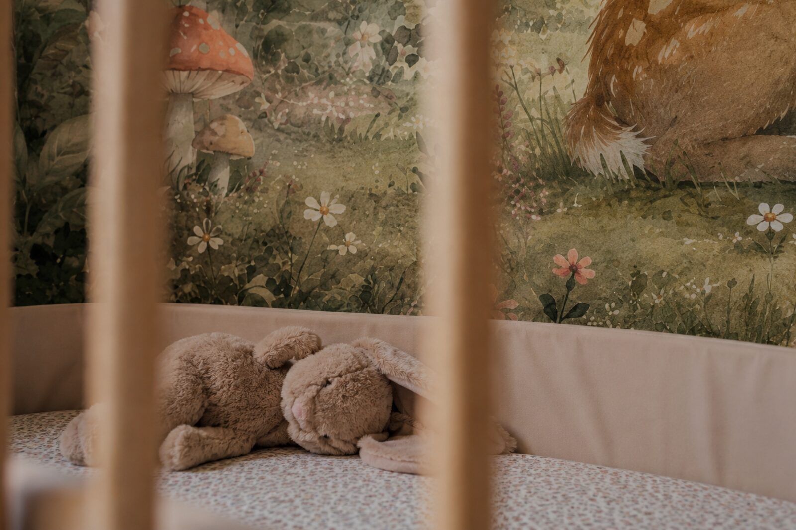 Mise en situation - Petit ours et ses amis de la forêt (vue 13)