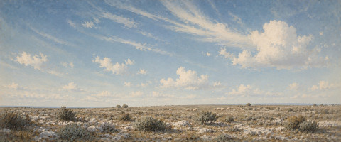 Papier peint fresque Provence - Plateau de garrigue et grand ciel