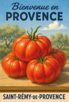 Affiche vintage botanique - Trésor d’été - Tomate de Provence