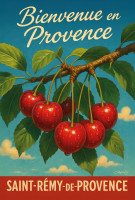 Affiche vintage botanique - Rouge éclat - Cerises de Provence au soleil